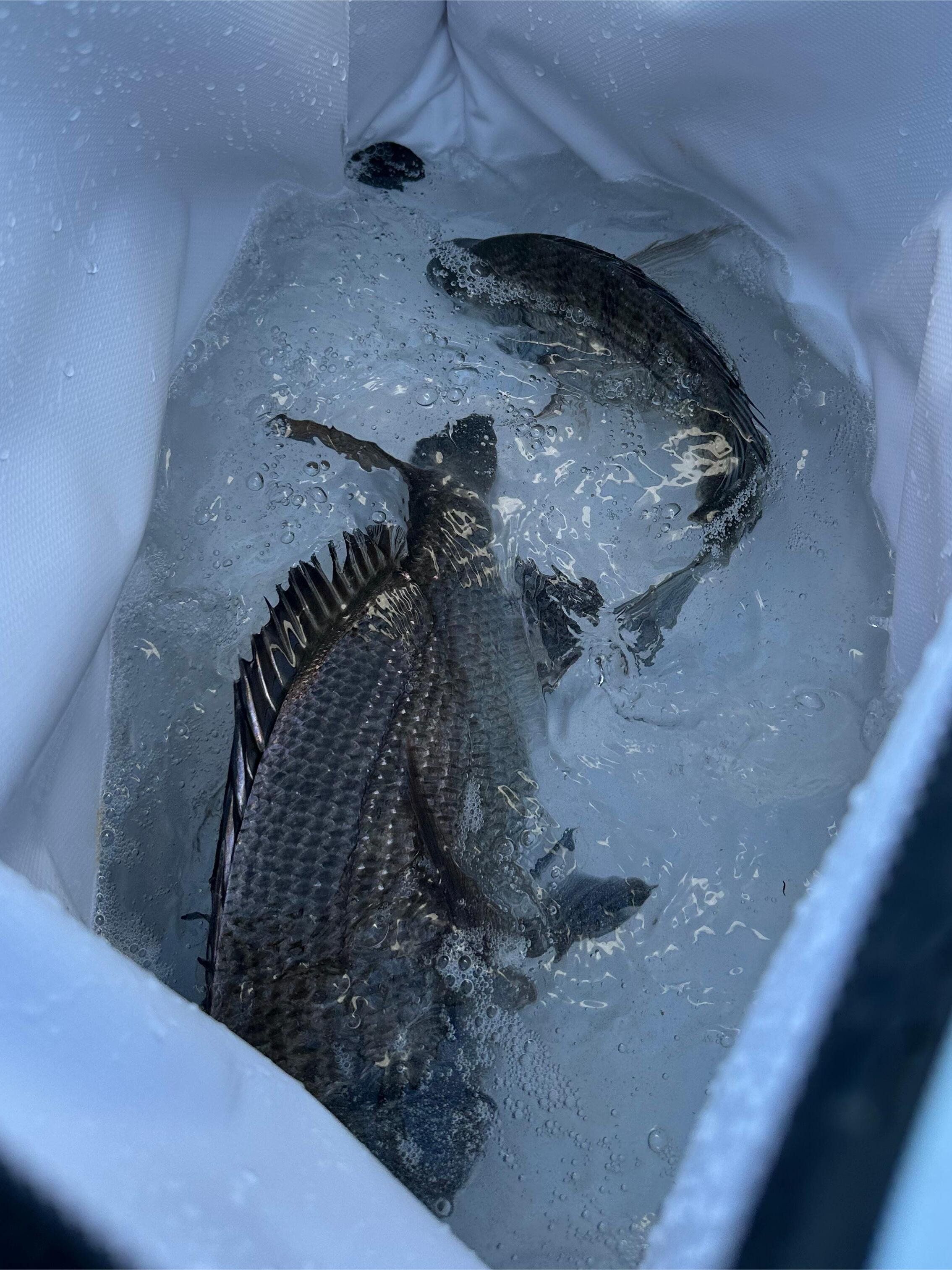 20-litre, 26-litre cold ice-covered-fishing